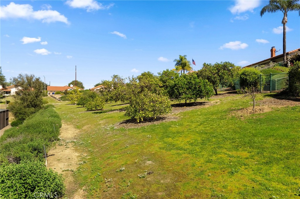 903 Crescent Bend Fallbrook, CA 92028 - Photo 36 of 50 Community Orchard