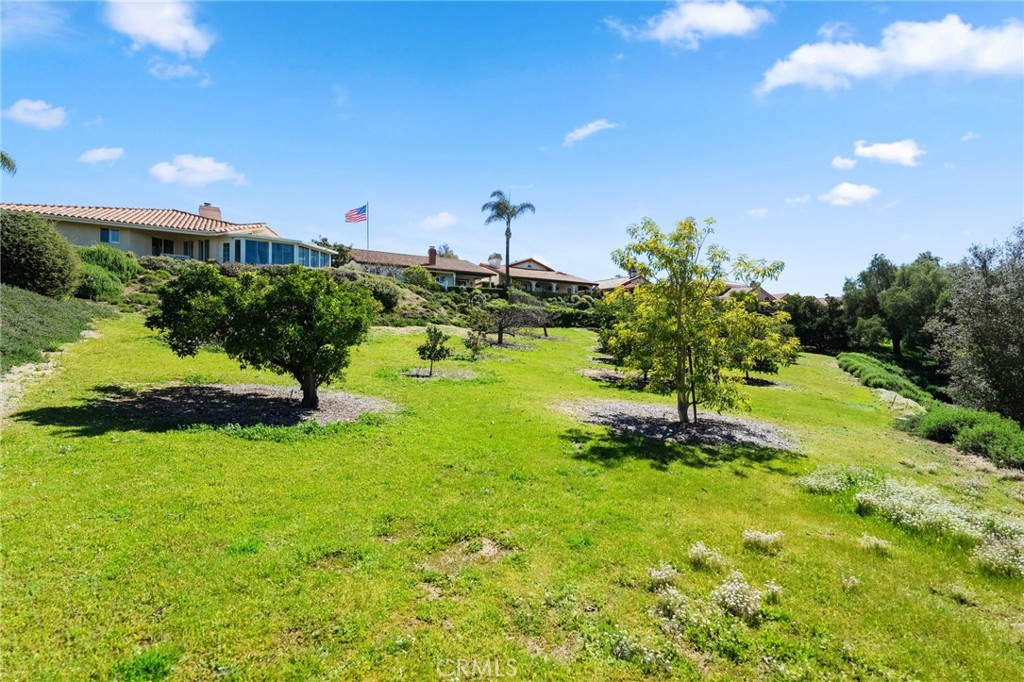903 Crescent Bend Fallbrook, CA 92028 - Photo 38 of 50 Community Orchard