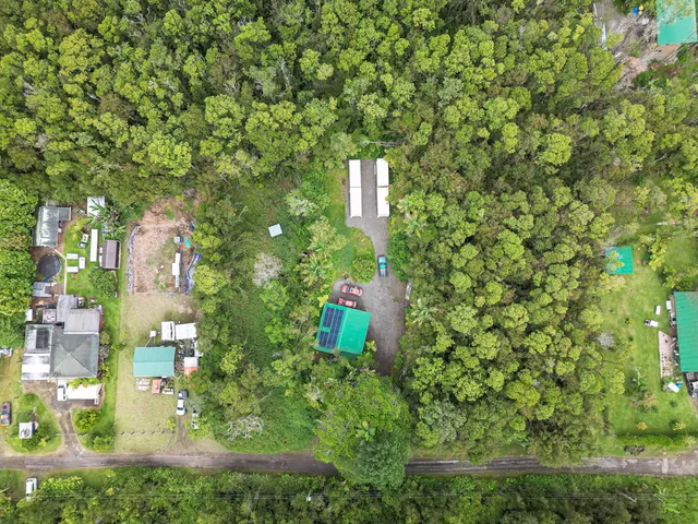 a plant that is sitting in a yard