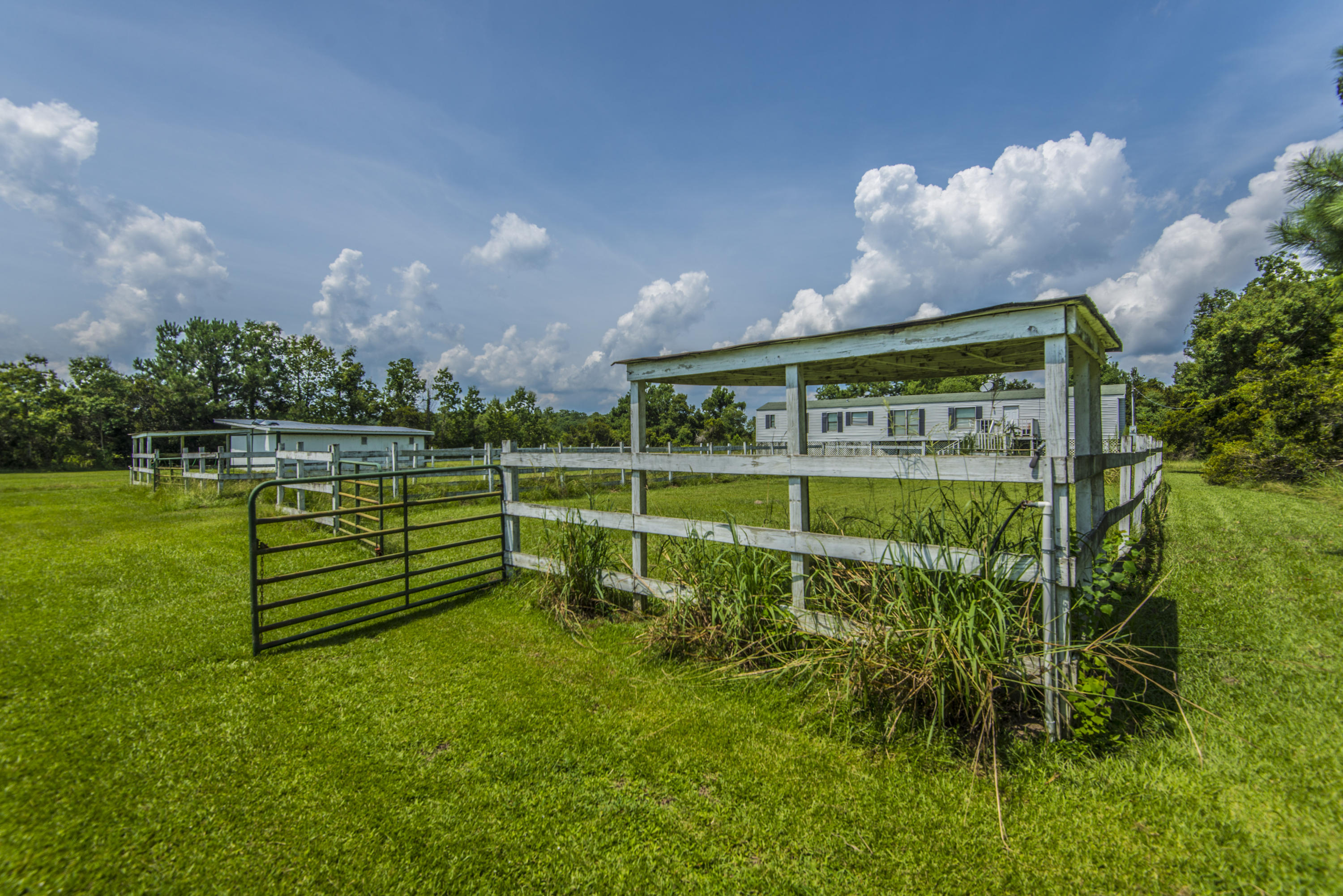 7796 White Point Road Hollywood, SC 29449 - Photo 23 of 60 7796 White Point Rd