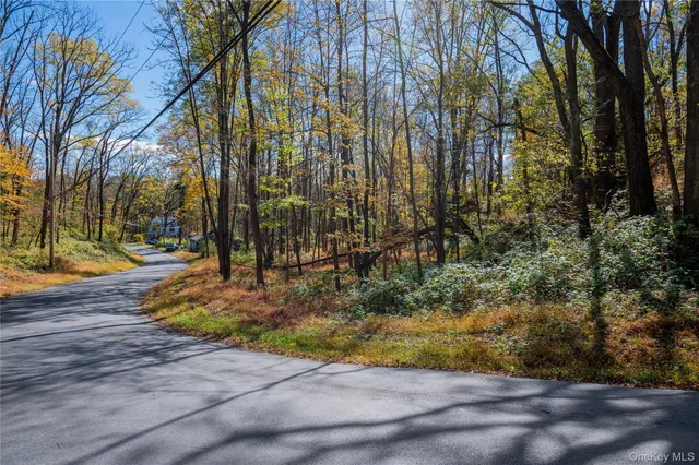 a view of a yard with trees