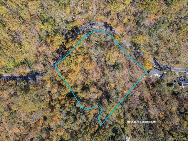 a picture of a tree with a tree