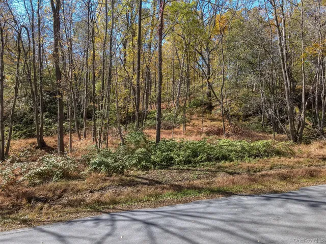 a view of outdoor space and garden