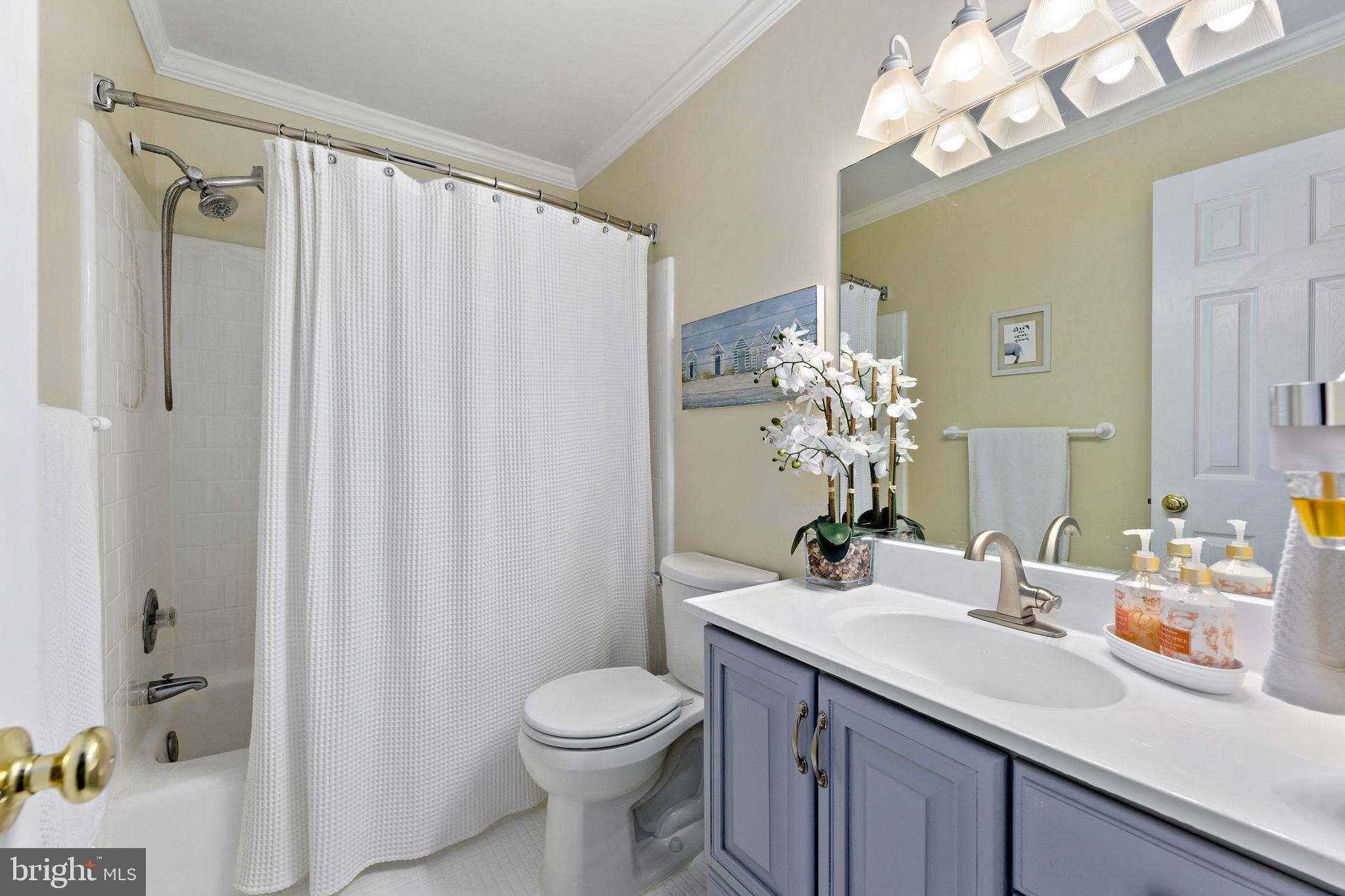 6902 Conservation Drive Springfield, VA 22153 - Photo 37 of 59 Gallery Image 37