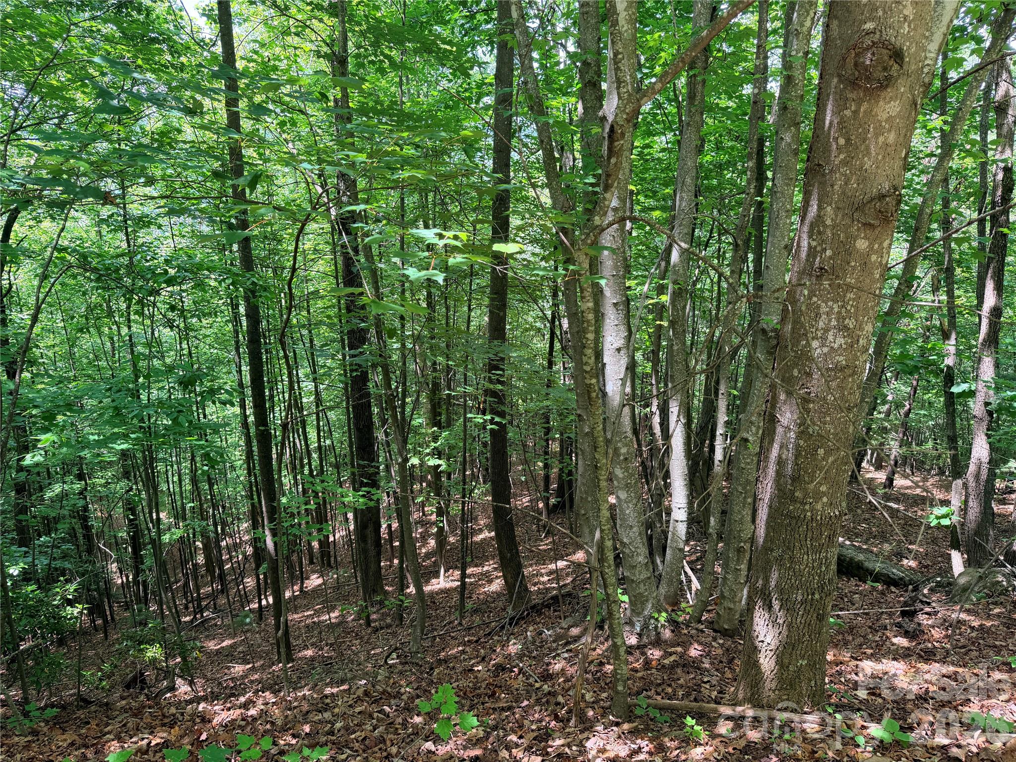 Tbd Tbd Warren Way, Unit 132A Purlear, NC 28665 - Photo 5 of 33