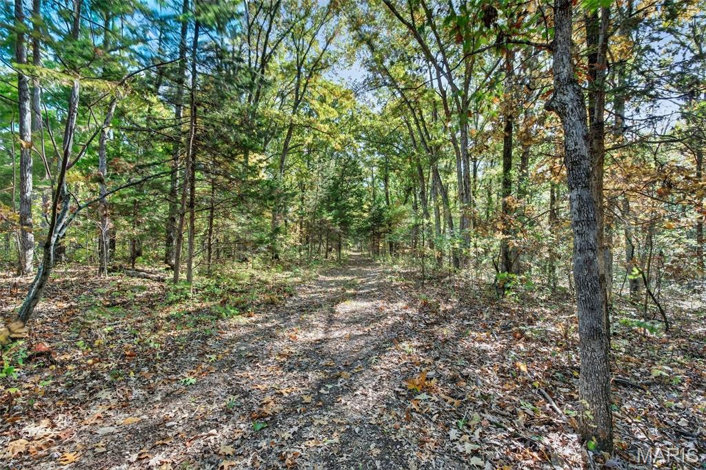 2670 Jackson Road Foristell, MO 63348 - Photo 4 of 15