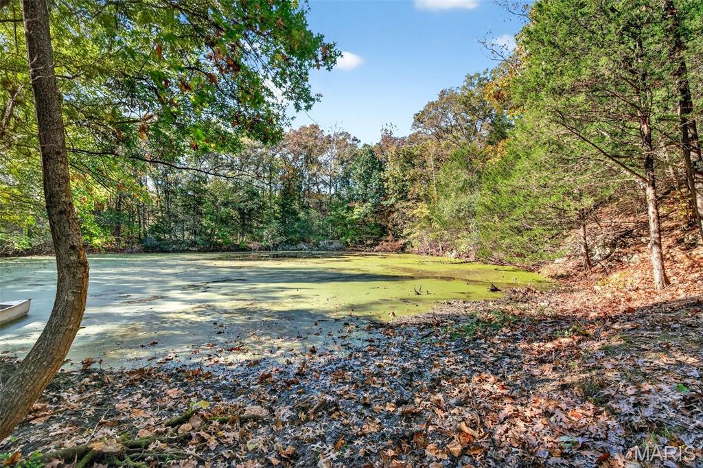 2670 Jackson Road Foristell, MO 63348 - Photo 6 of 15