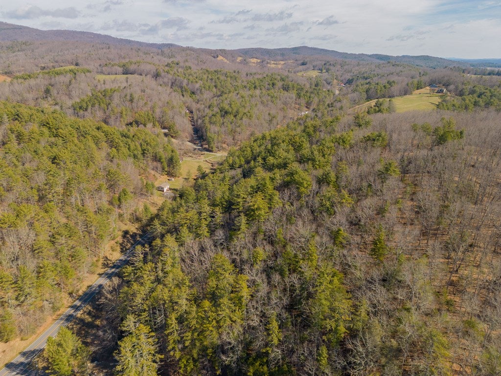 12-acres Powerhouse Road, Unit 14D Independence, VA 24348 - Photo 23 of 44 Gallery Image 23