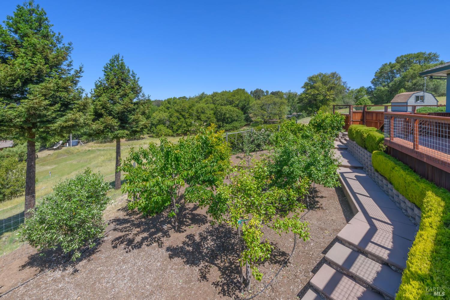 6649 Round Oak Road Penngrove, CA 94951 - Photo 48 of 57