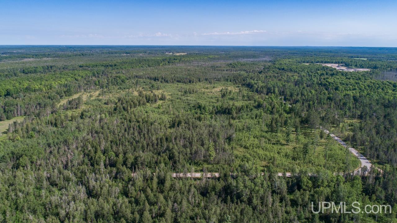 Tbd 80-acres 30th Road Rapid River, MI 49878 - Photo 11 of 17