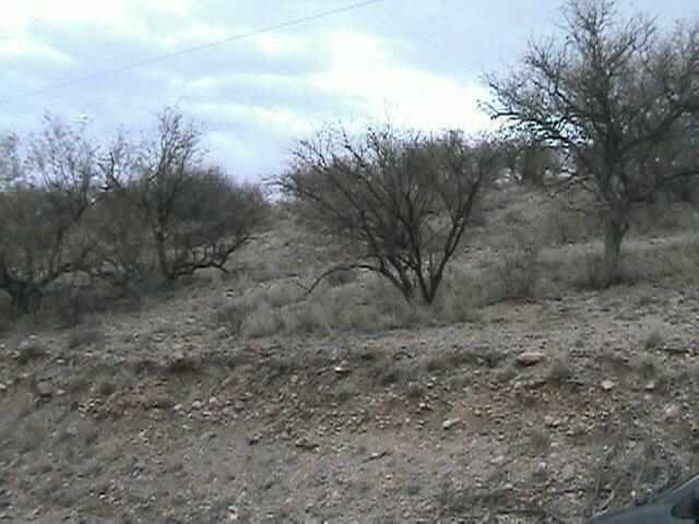 1122 Via Jacaranda Rio Rico, AZ 85648 - Photo 3 of 3