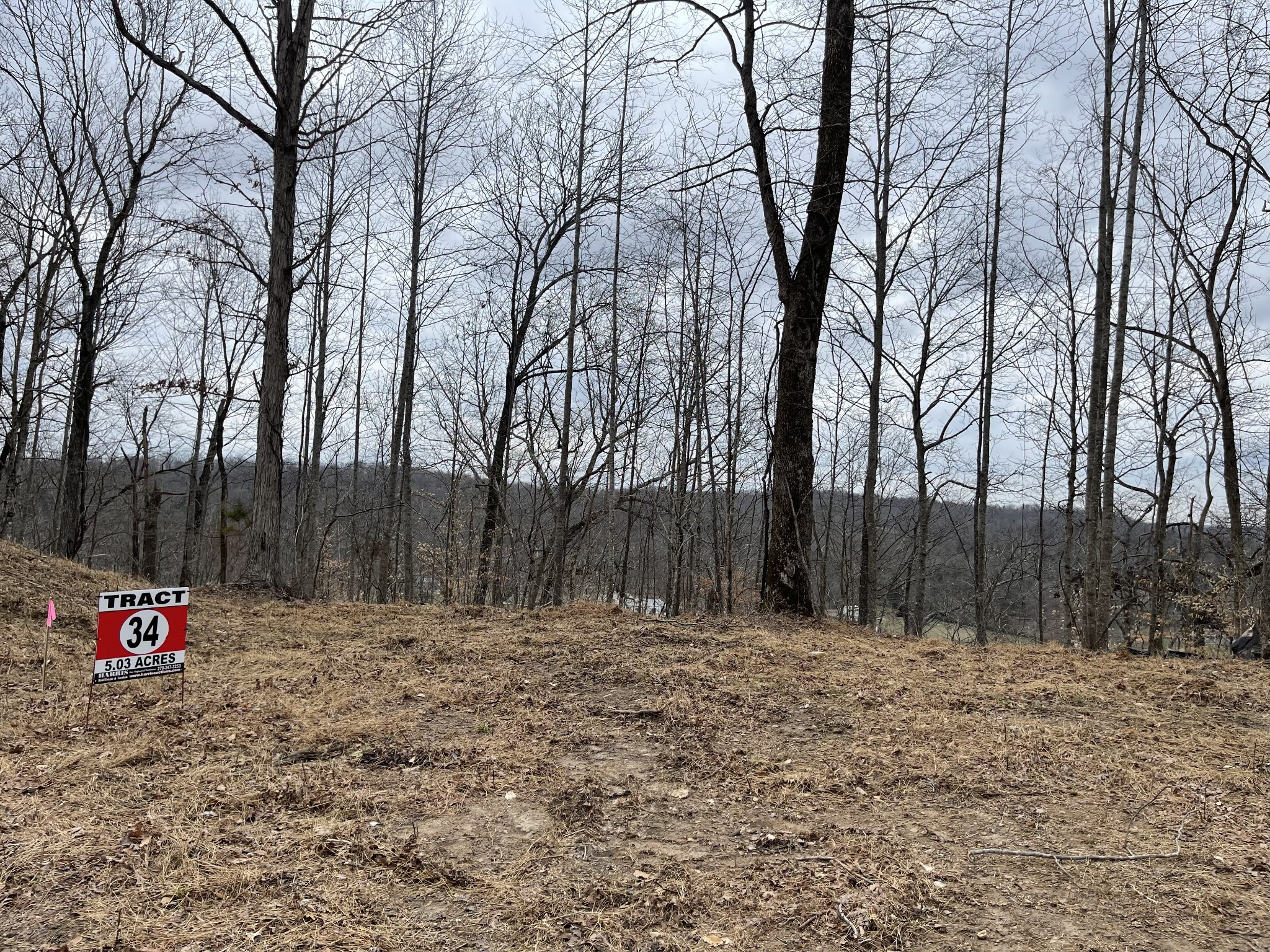 34 Fox Way Pointe Pt