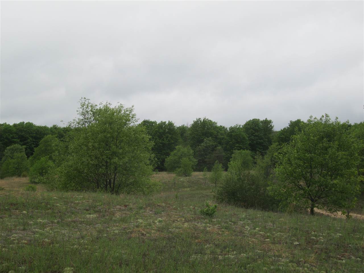 1536 Tremblay Road Mancelona, MI 49659 - Photo 11 of 31 1800456-10.JPG