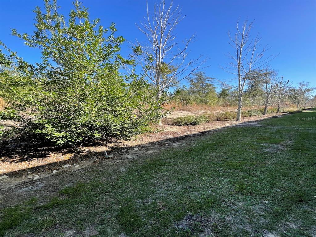 6579 Southwest 81st Loop Ocala, FL 34476 - Photo 12 of 32