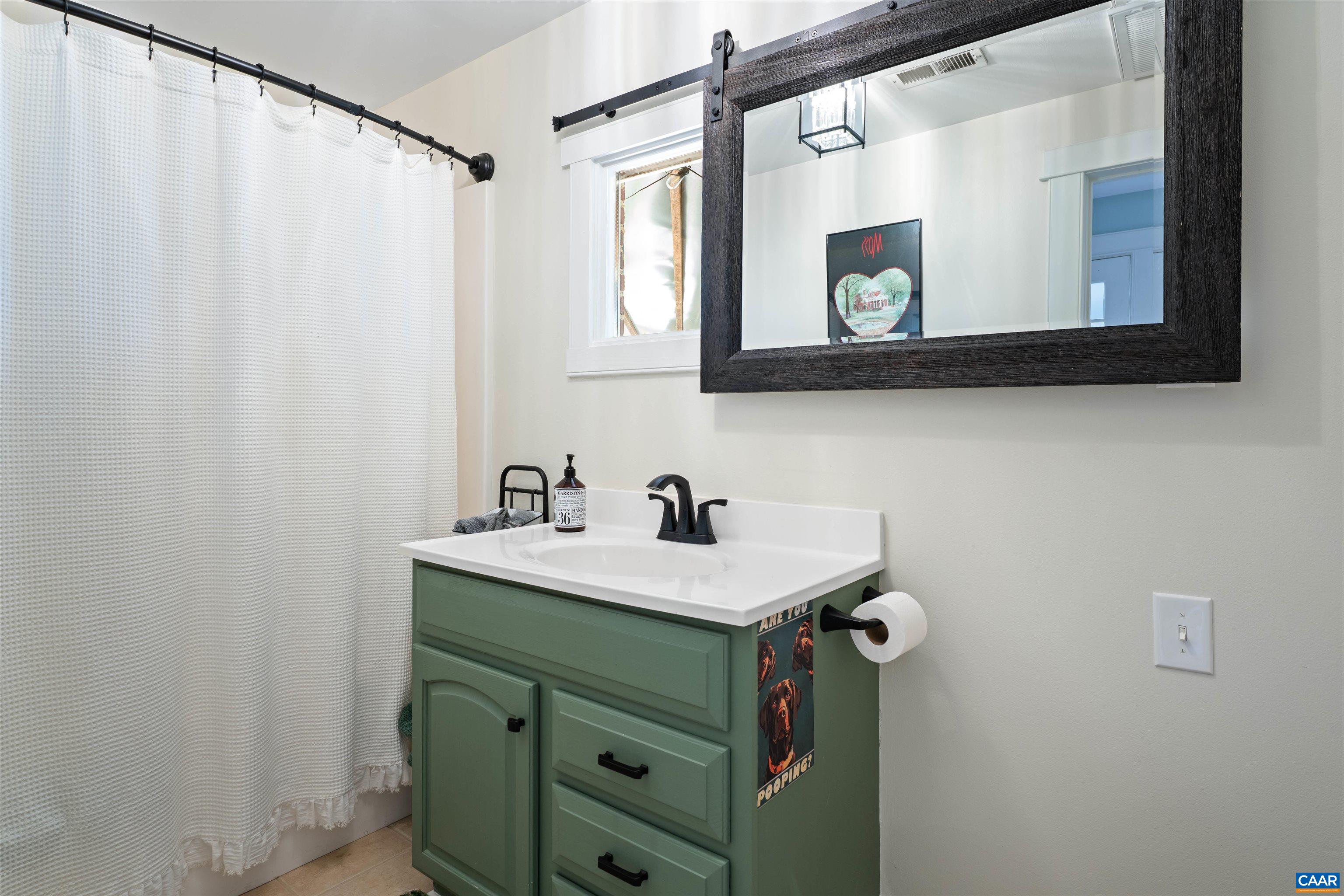 3486 Fredericksburg Road Ruckersville, VA 22968 - Photo 20 of 37 a bathroom with a sink vanity and a mirror