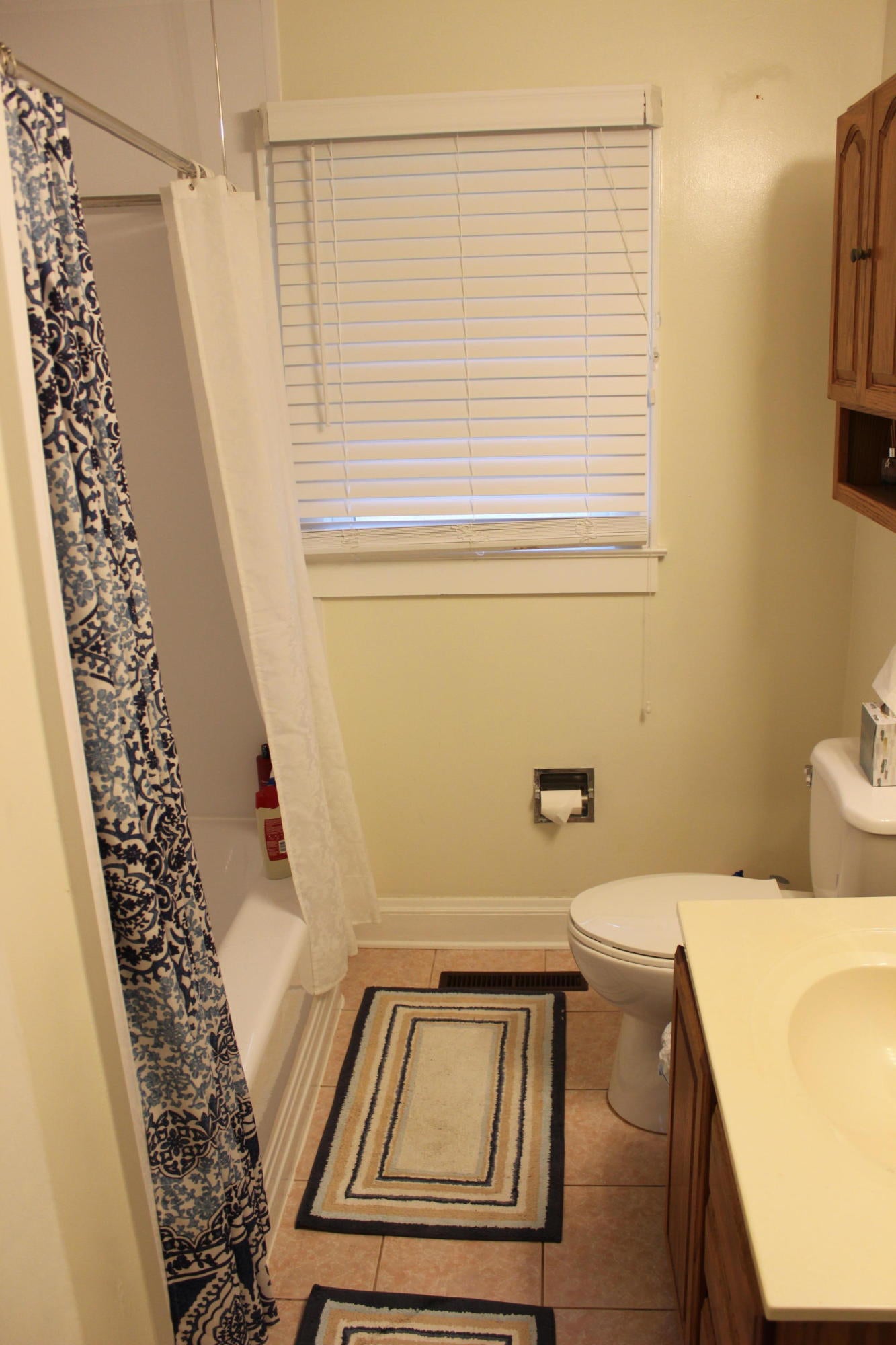 219 Brush Road Lewisburg, WV 24901 - Photo 19 of 30 Gallery Image 19