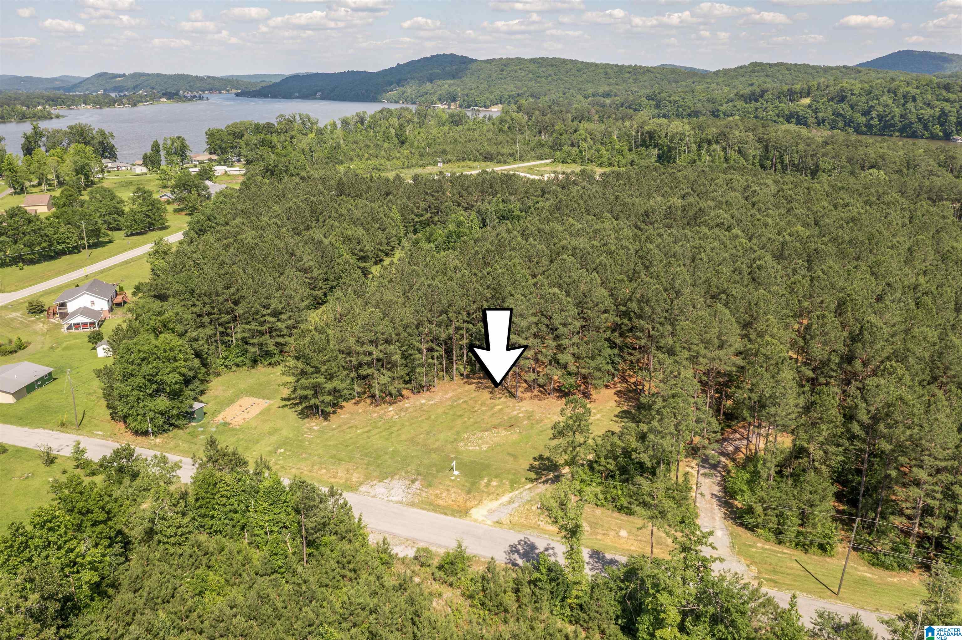 89 Golden Pond Road, Unit 9 Ashville, AL 35953 - Photo 9 of 35
