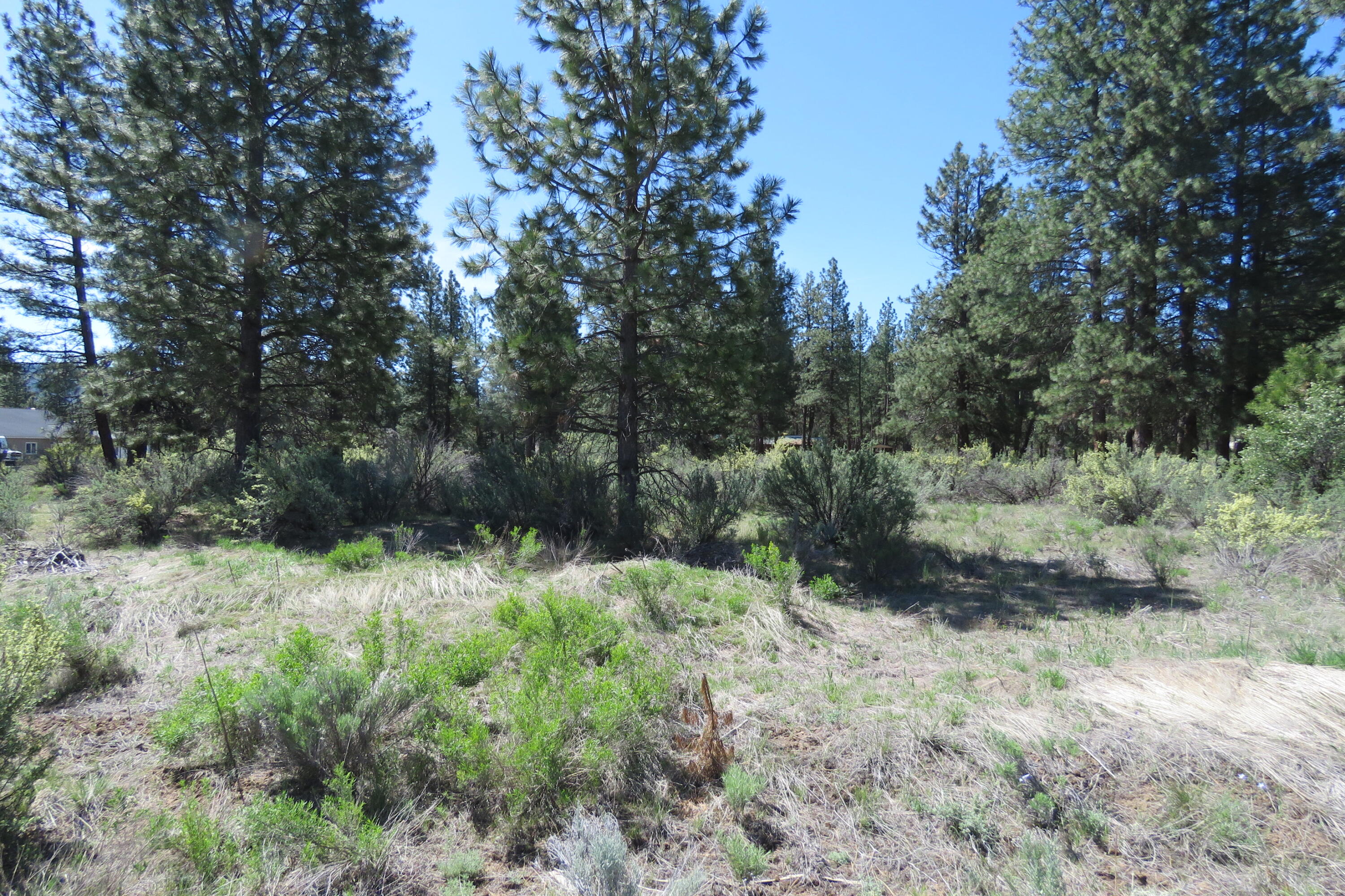 Castle Drive Chiloquin, OR 97624 - Photo 5 of 12 IMG_4564