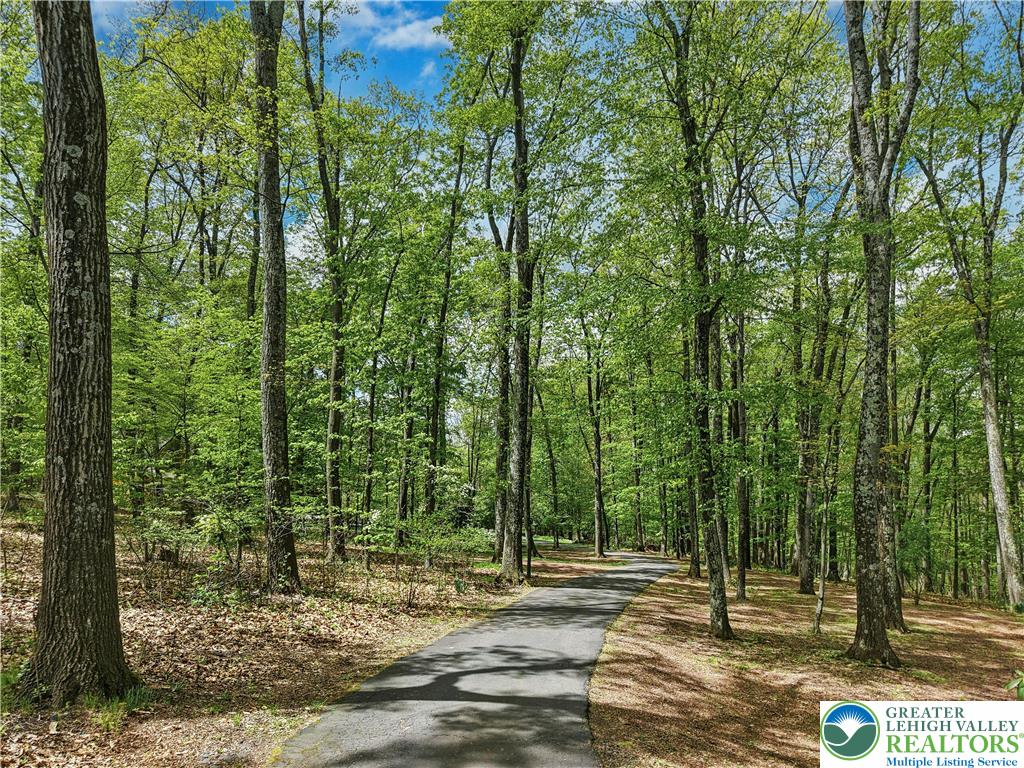 294 Nockamixon Road Kintnersville, PA 18930 - Photo 5 of 58 a view of a park that has large trees