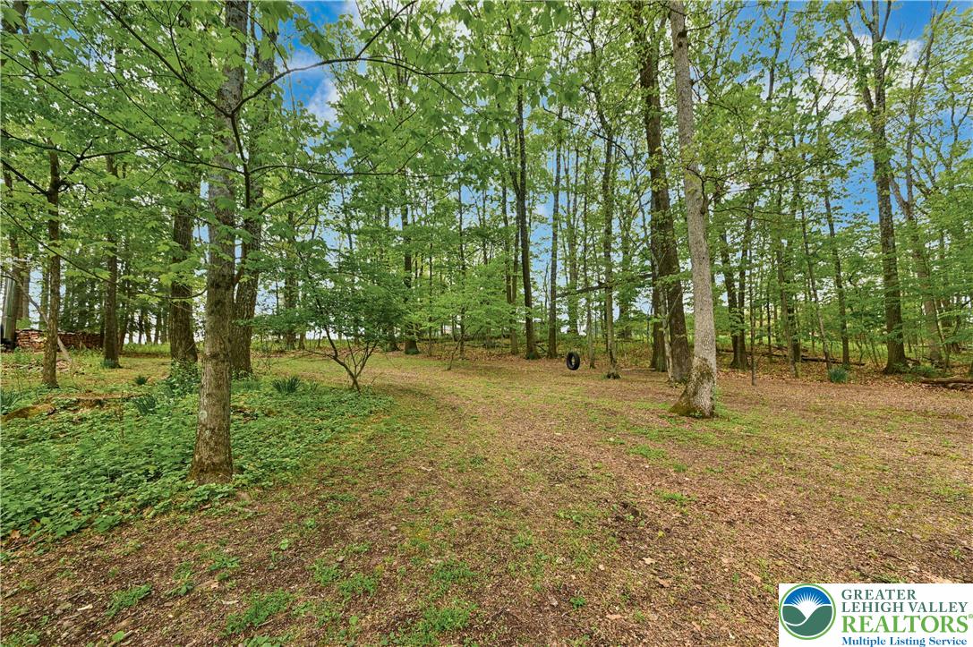 294 Nockamixon Road Kintnersville, PA 18930 - Photo 52 of 58 a view of outdoor space with trees