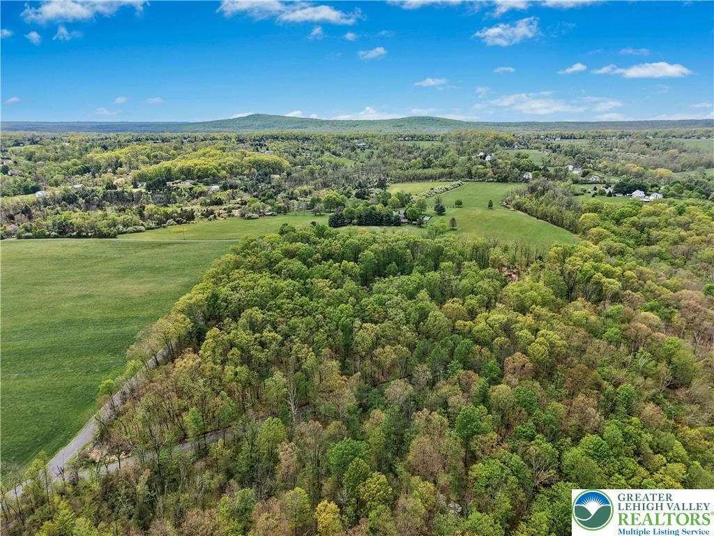 294 Nockamixon Road Kintnersville, PA 18930 - Photo 54 of 58 a view of a city with lush green forest