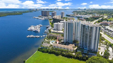 a picture of flowers