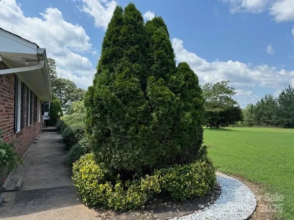 a yard with lots of green space