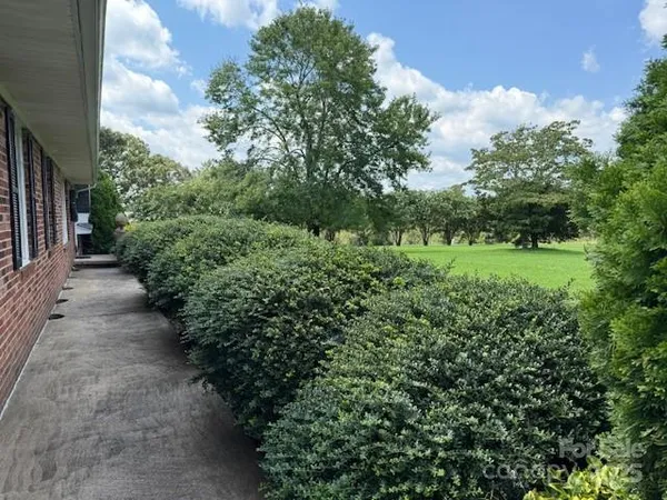 a view of a yard with plants and a trees