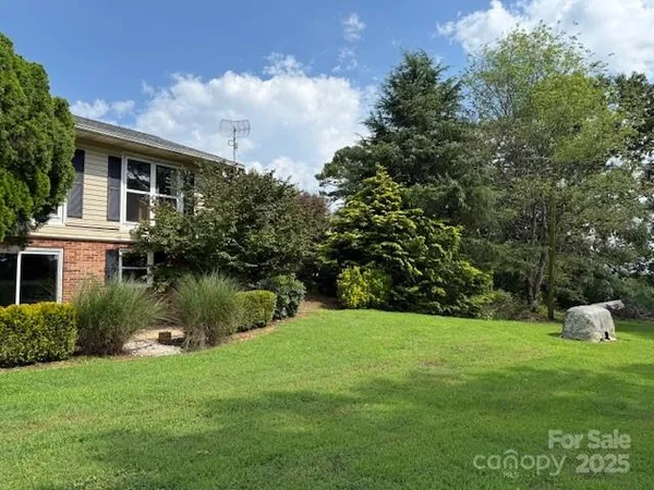 a view of a park with large trees