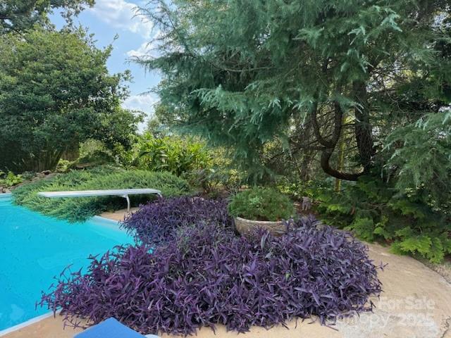 3319 Humphries Road Shelby, NC 28150 - Photo 38 of 41 a view of a garden with a lake