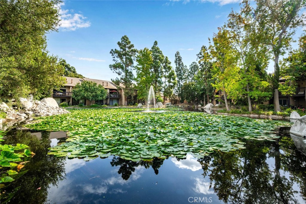 a view of a garden with a bench in a garden