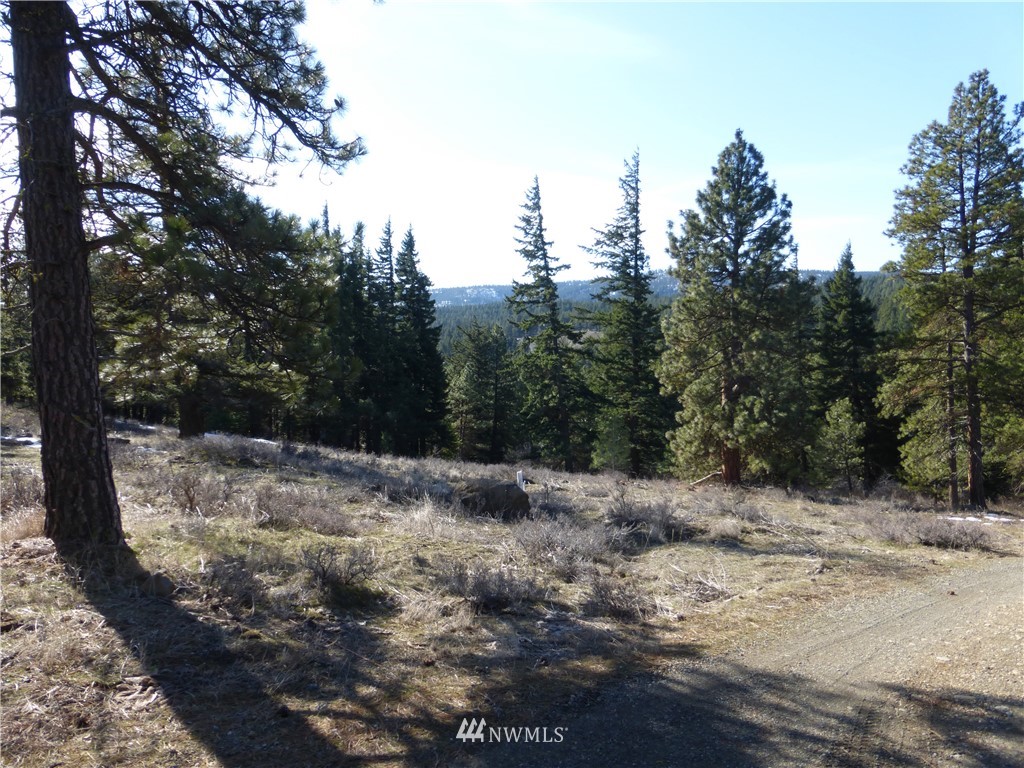 -xxx Thorp Prairie Road Thorp, WA 98946 - Photo 3 of 7 Gallery Image 3