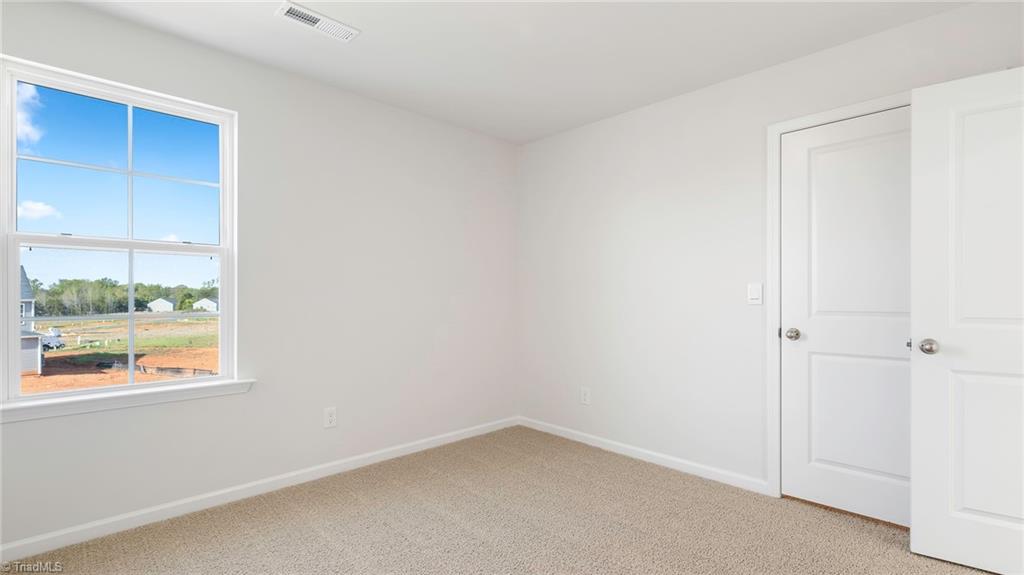 6664 Capstone Court Rural Hall, NC 27045 - Photo 17 of 19 *photos are representational.