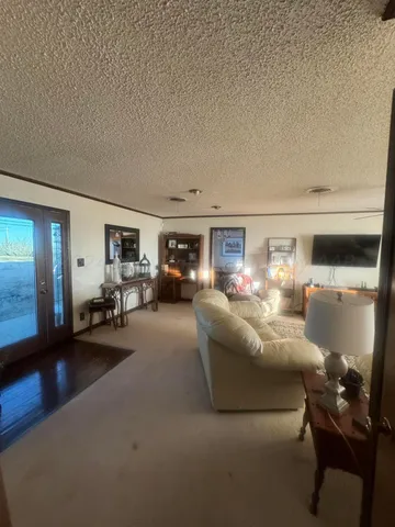 a living room with furniture and a couch