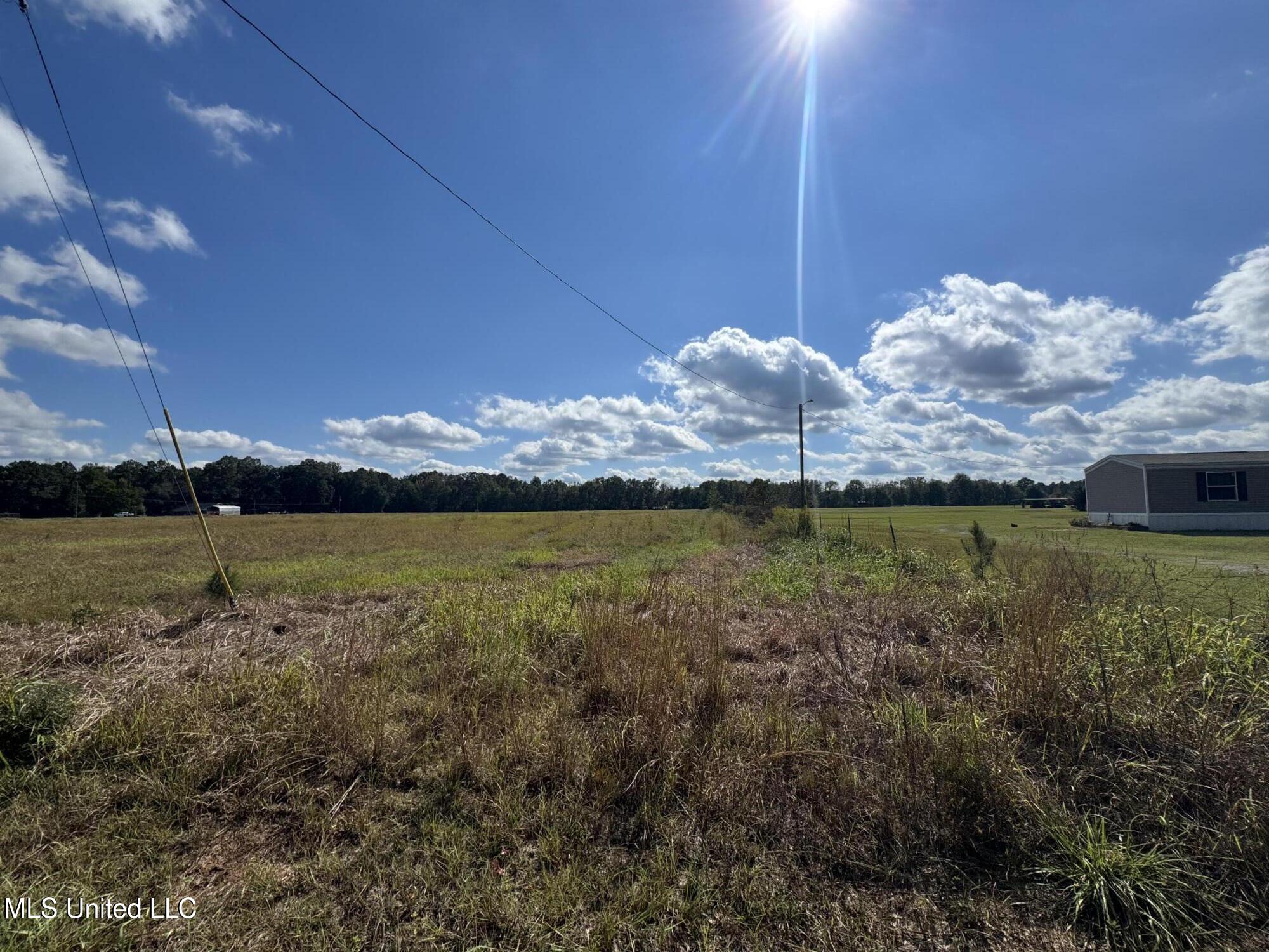 10-ac Ellis Hodge Road Lucedale, MS 39452 - Photo 2 of 6 IMG_5043