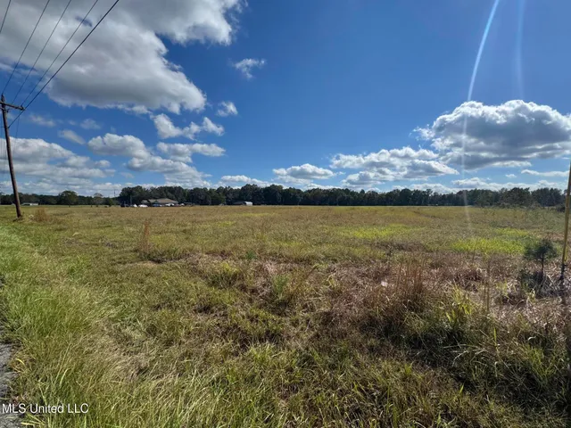 $145,000 | 10-ac Ellis Hodge Road, Lucedale, MS 39452