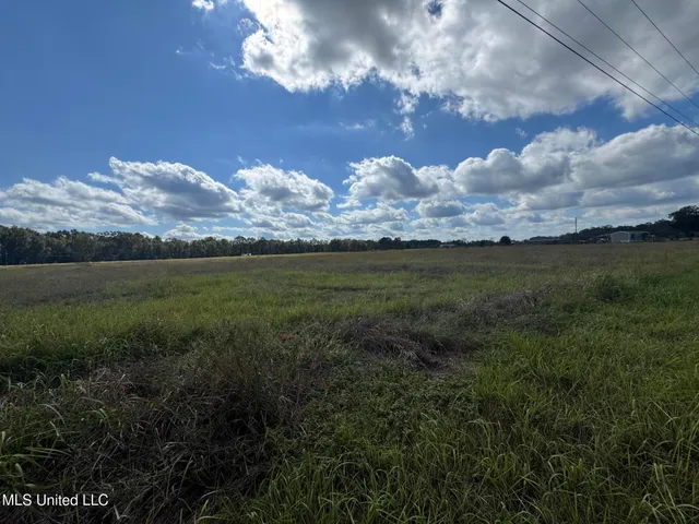 $145,000 | 10-ac Ellis Hodge Road, Lucedale, MS 39452
