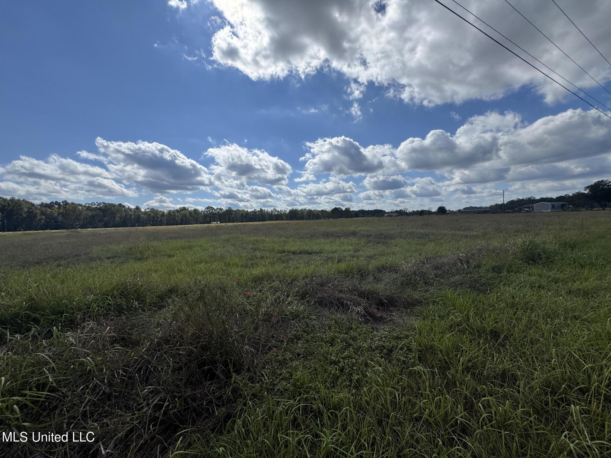 10-ac Ellis Hodge Road Lucedale, MS 39452 - Photo 5 of 6 IMG_5047
