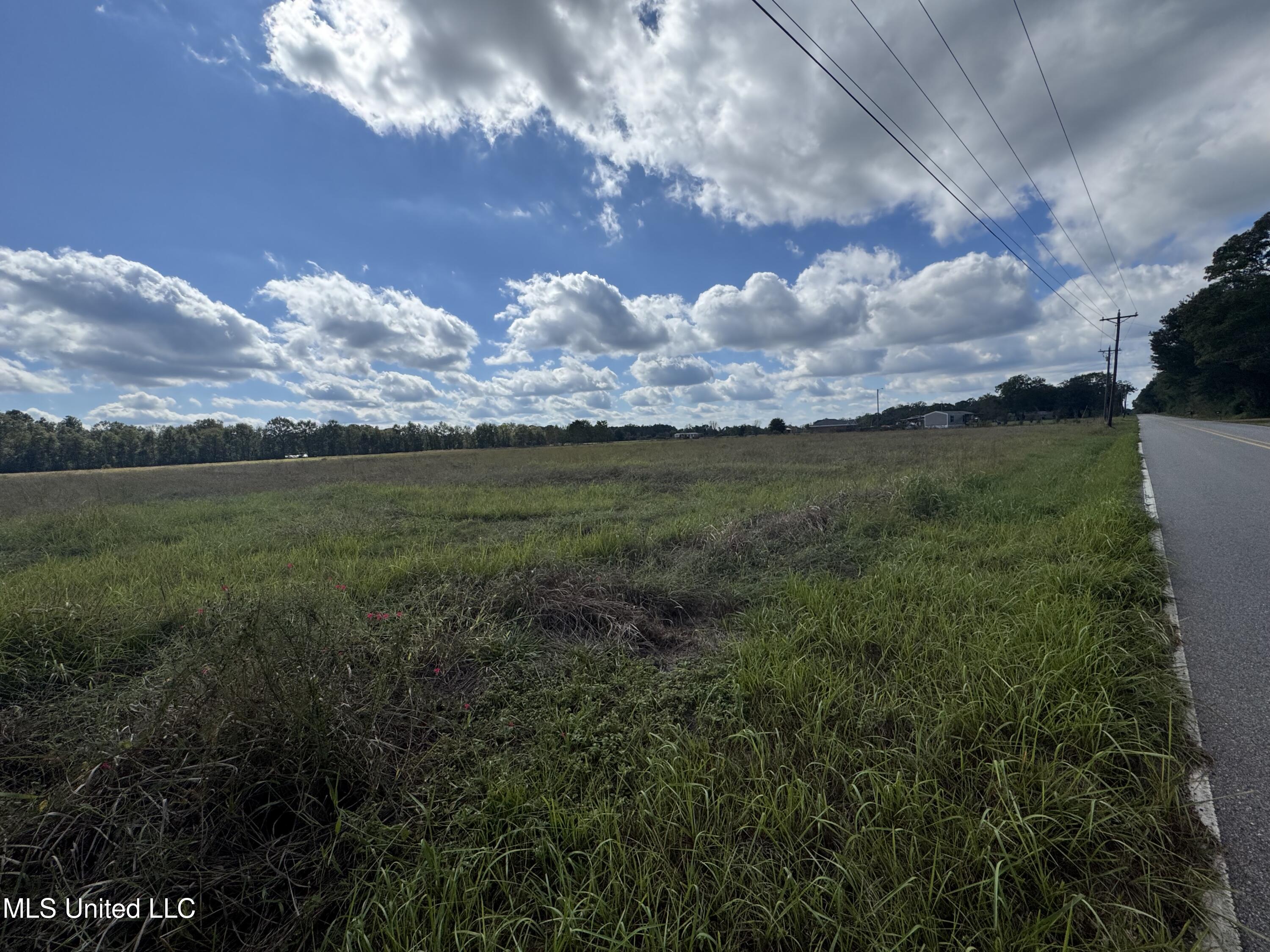 10-ac Ellis Hodge Road Lucedale, MS 39452 - Photo 6 of 6 IMG_5048