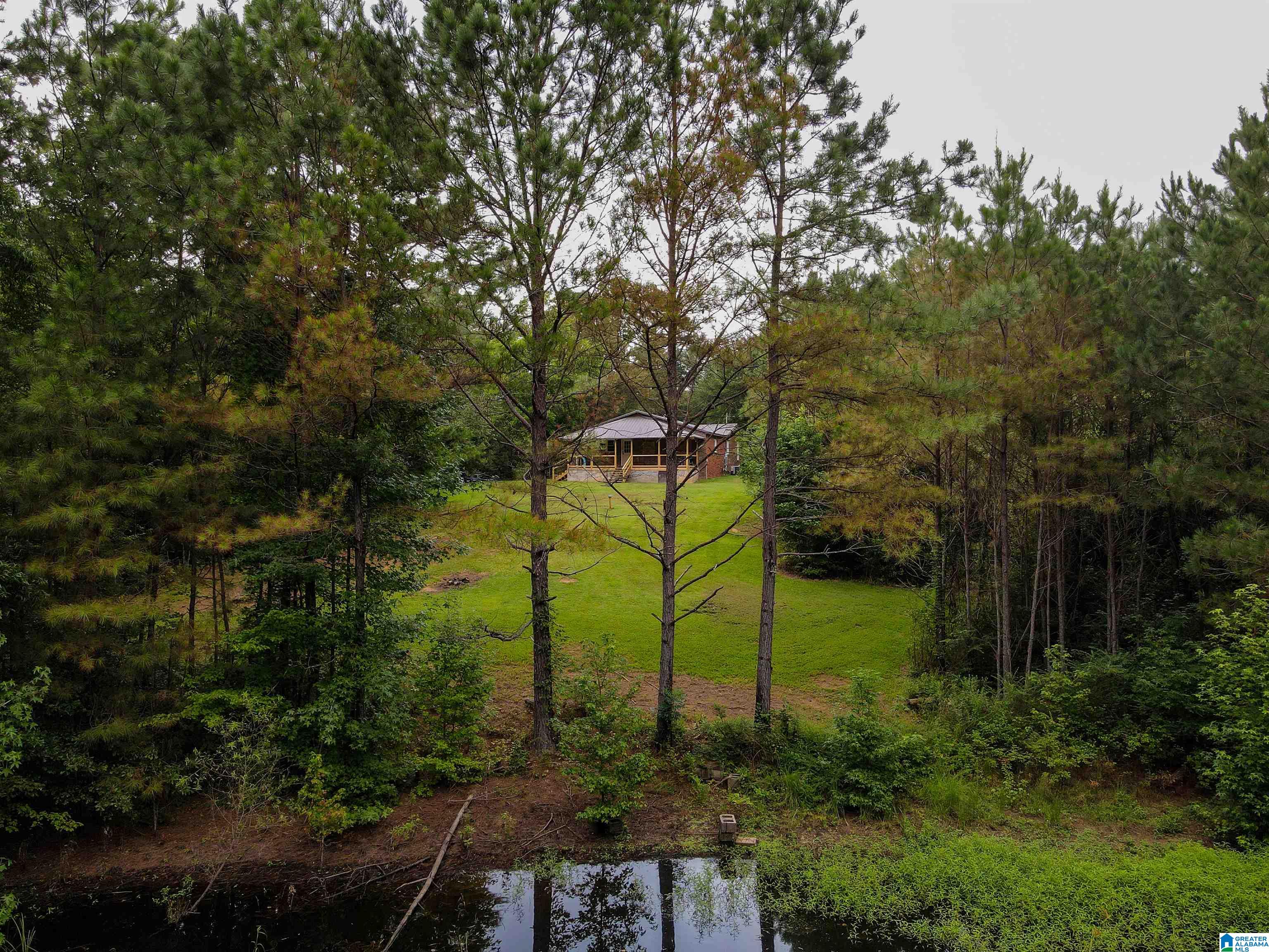 6130 Spunky Hollow Road Locust Fork, AL 35097 - Photo 1 of 45