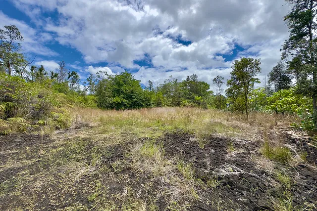 a view of a lake with houses in the back