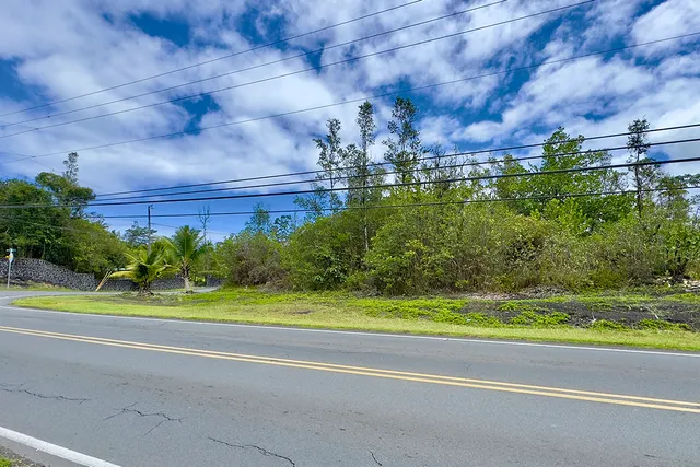 a view of a big yard with potted plants