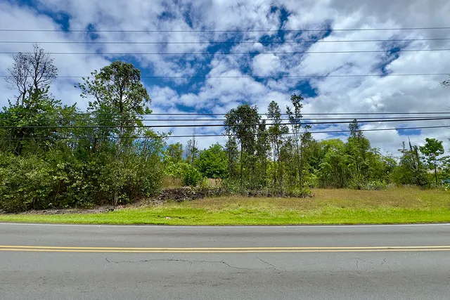 a view of a yard and a plants