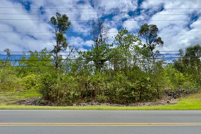 a plant that is in front of a building