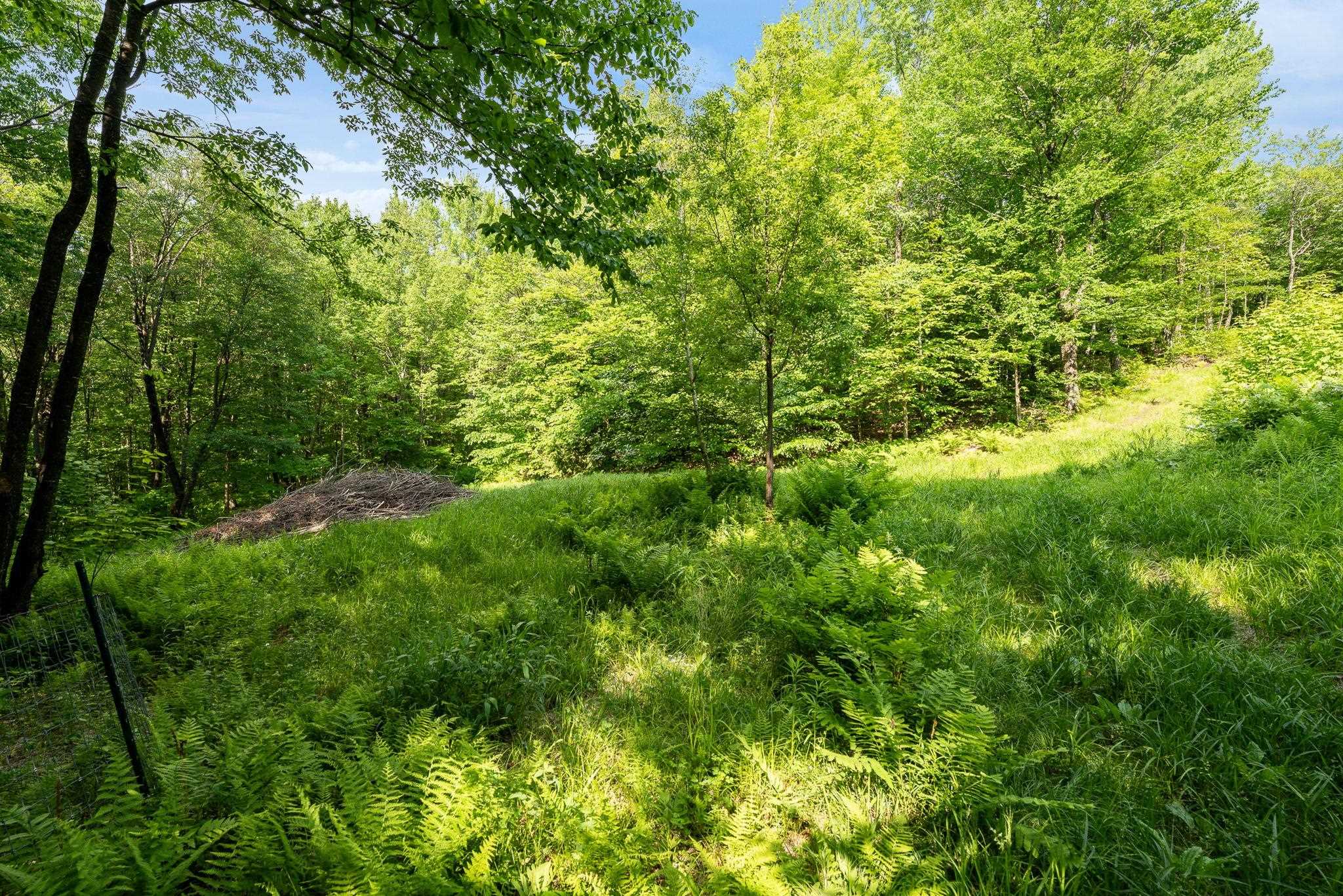 115 Stone Hill Road Bolton, VT 05465 - Photo 11 of 33