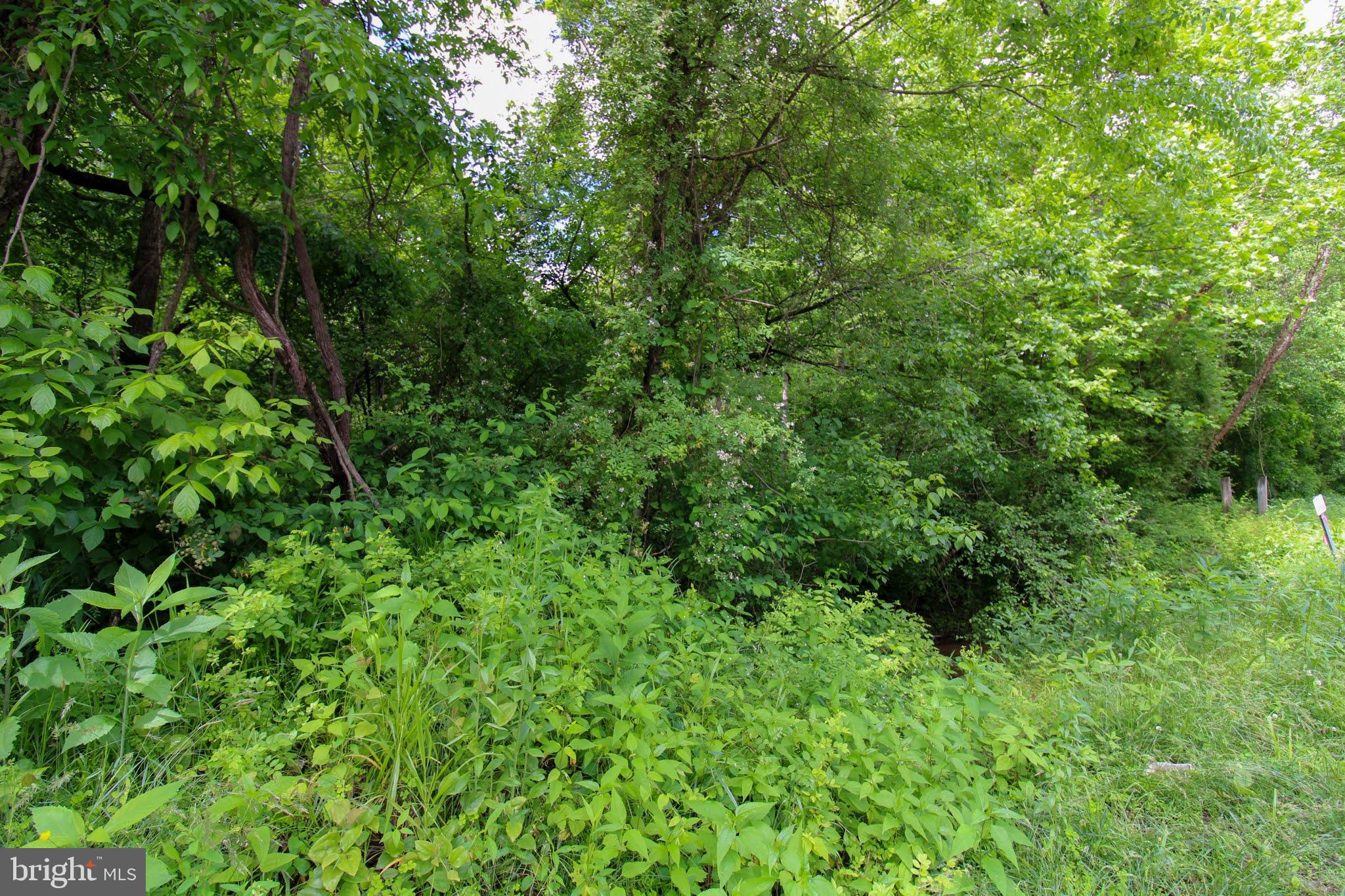 Tbd Cross Stitch Road, Unit 2E Dry Fork, VA 24549 - Photo 11 of 12