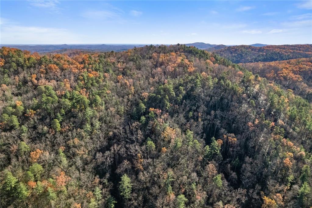 Lot 29 Raven Ridge Road Clayton, GA 30525 - Photo 6 of 20 a view of a city
