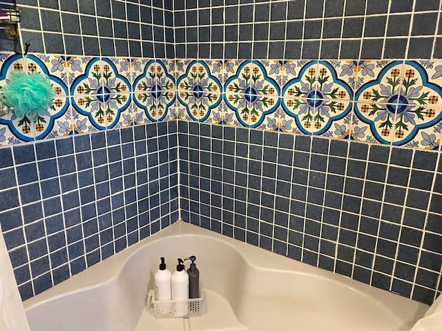 1395 Colonial Road Blue Ridge, VA 24064 - Photo 5 of 7 a bathroom with a bathtub and shower