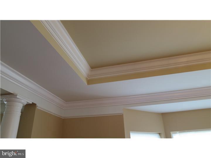 3 Lardner Road Burlington, NJ 08016 - Photo 8 of 28 Elegant coffered ceiling detail.