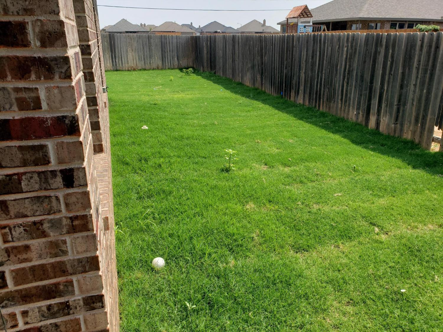 9706 Ridgely Avenue Lubbock, TX 79424 - Photo 32 of 32 a view of a backyard with wooden fence
